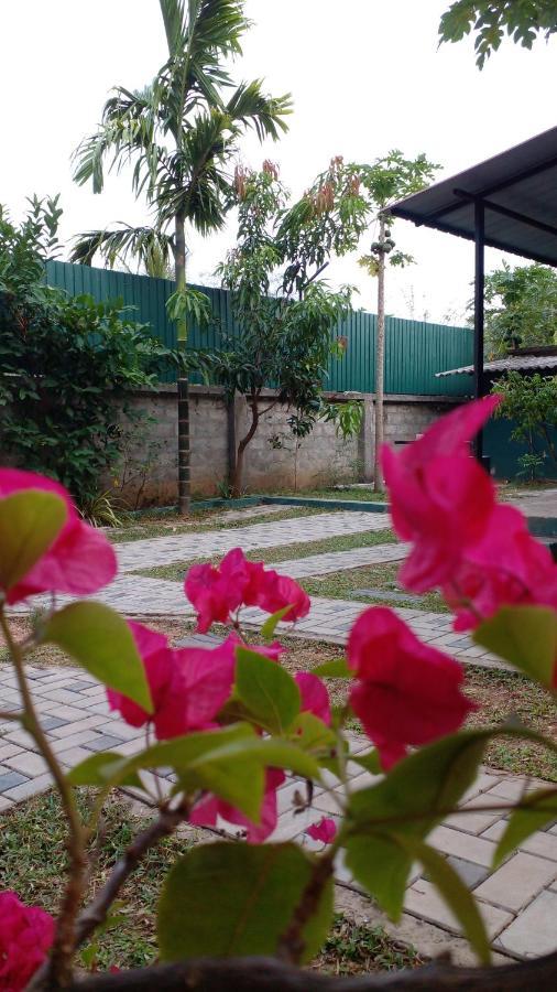 Thomasha Homestay Wellawaya Exterior photo